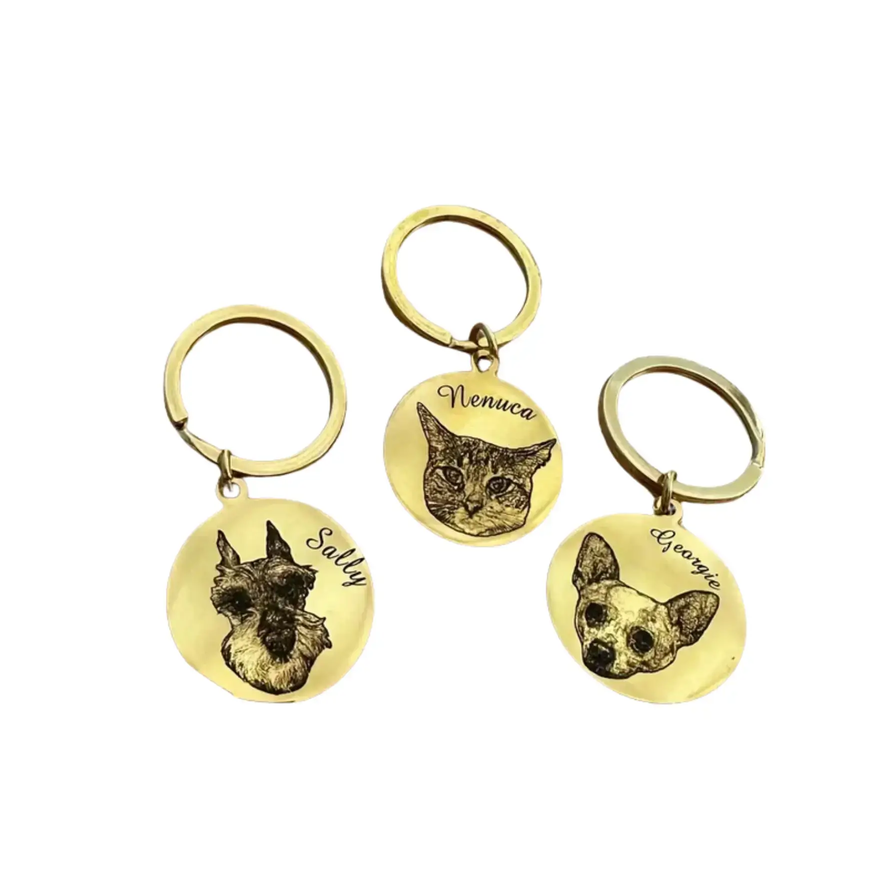 Personalisierter Haustier-Schlüsselanhänger aus Edelstahl – Gold