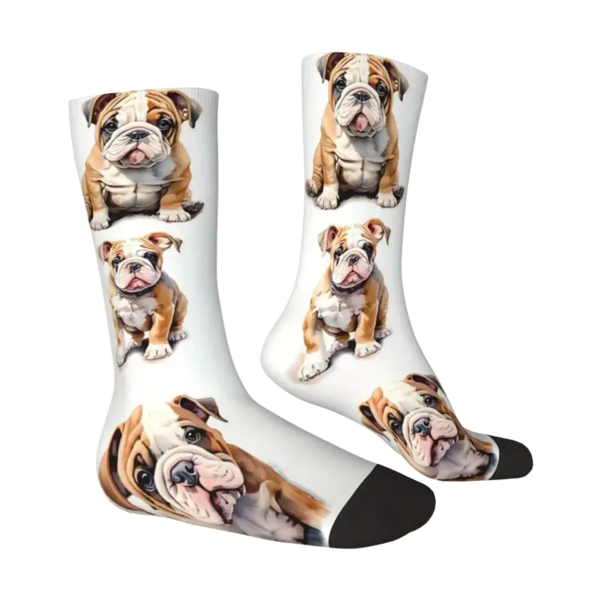 Socken mit Hundemotiv - Bulldogge