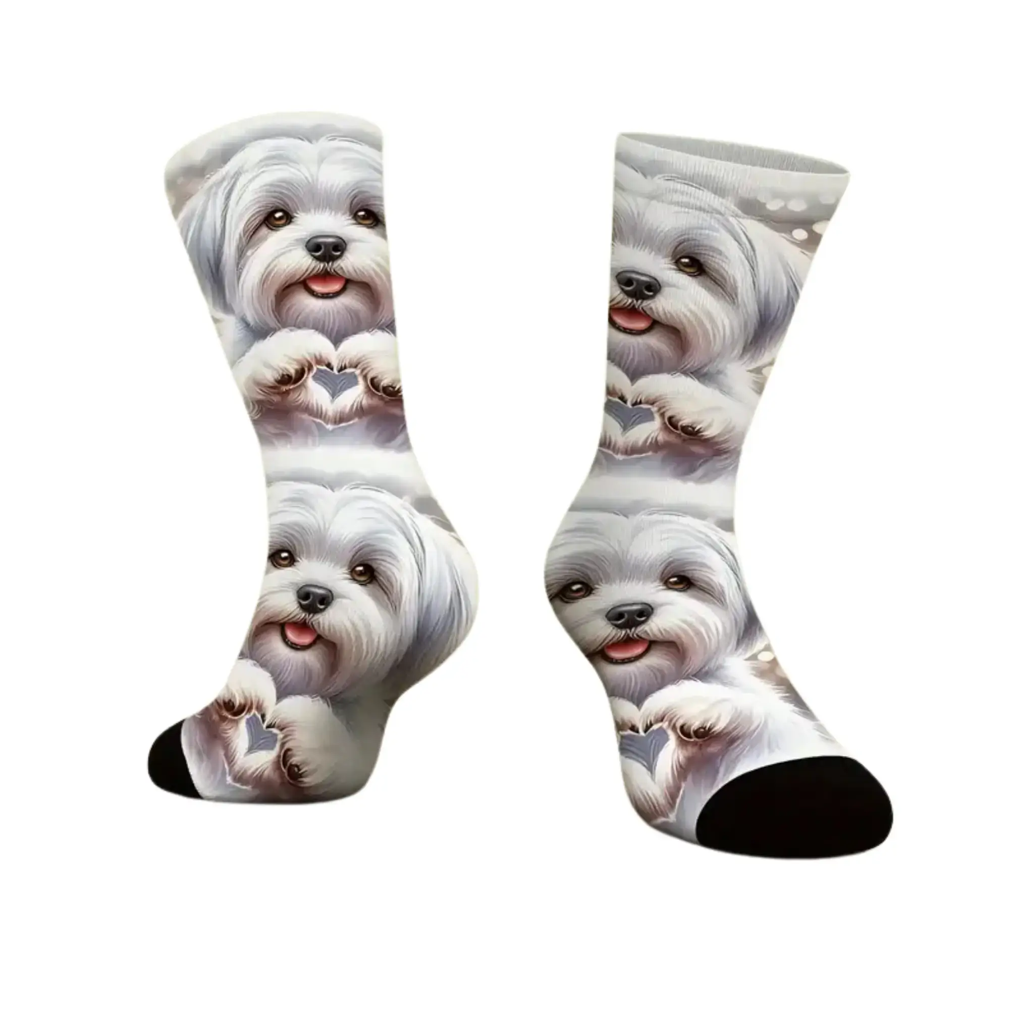 Socken mit Hundemotiv - Malteser