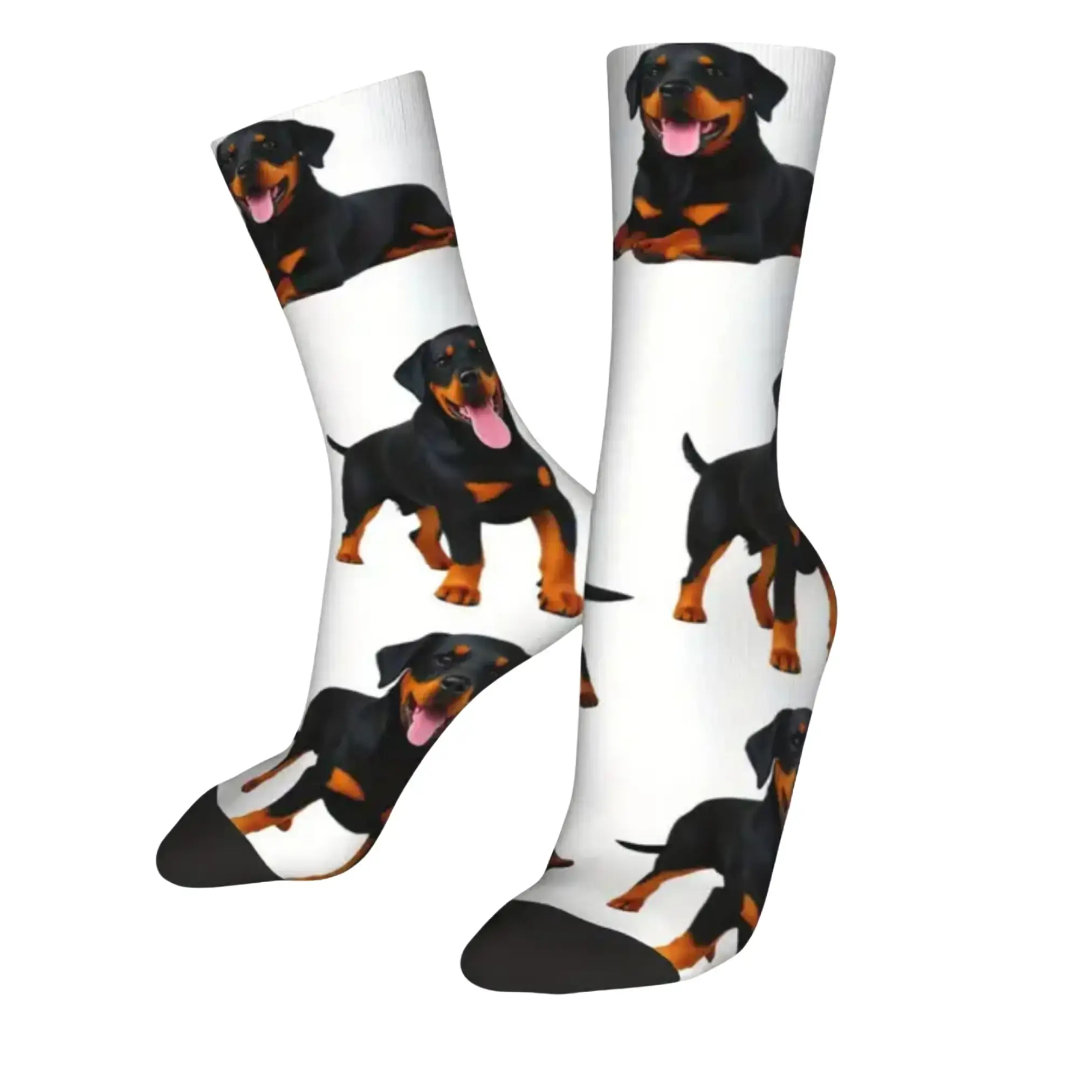 Socken mit Hundemotiv - Rottweiler